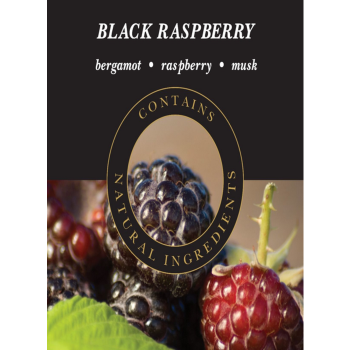 Ashleigh & Burwood Ashleigh & Burwood Black Raspberry Geurstokjes