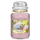 Yankee Candle Sunny Daydream Large Jar