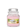Yankee Candle Sunny Daydream Small Jar