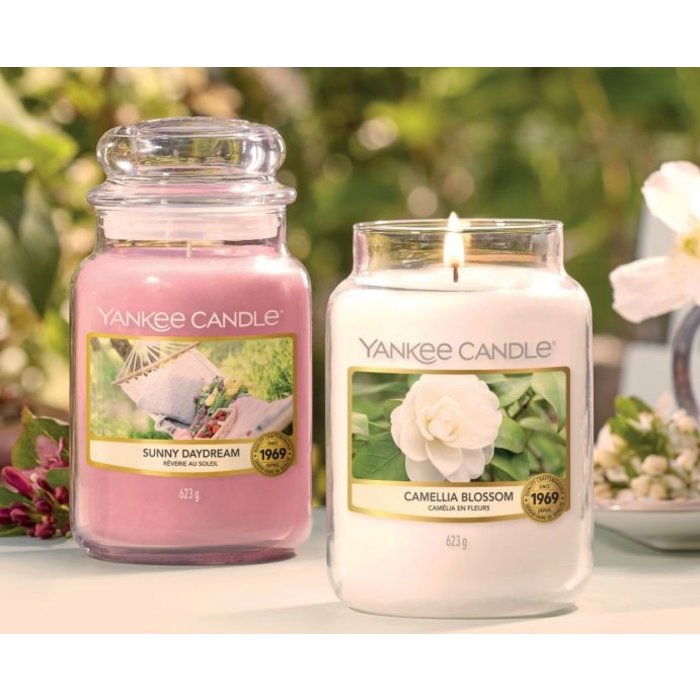 Yankee Candle Yankee Candle Camellia Blossom Theelichten