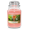Yankee Candle The Last Paradise Large Jar