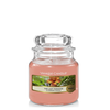 Yankee Candle The Last Paradise Small Jar