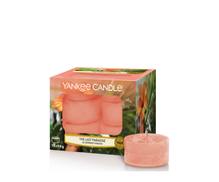 Yankee Candle The Last Paradise Theelichten
