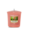 Yankee Candle The Last Paradise Votive