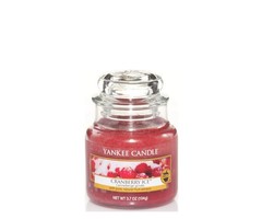 Yankee Candle Cranberry Ice Small Jar