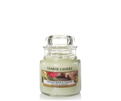Yankee Candle Lemongrass & Ginger Small Jar