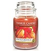 Yankee Candle Spiced Orange Large Jar
