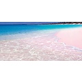 Pink Sands