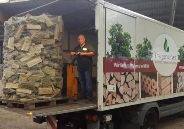 Kaminholz - frisch - auf Palette