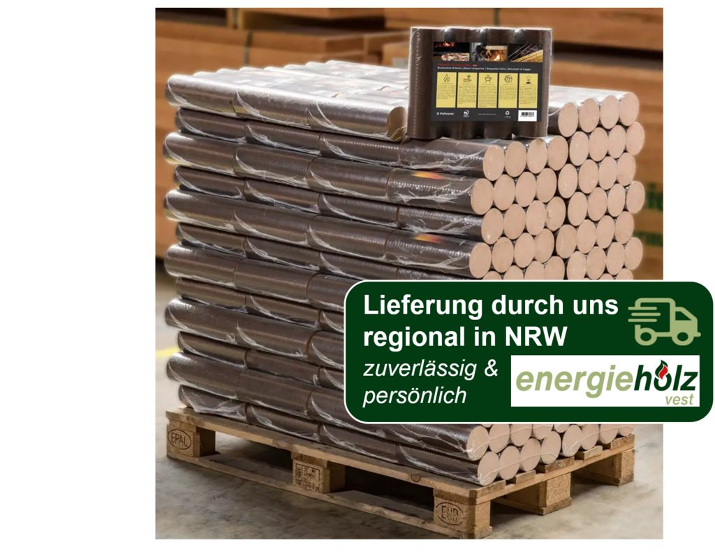Pollmeier Holzbriketts reine Buche - Premium Plus