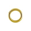 Gold Plated Segment Ring - Basic (1.2mm)