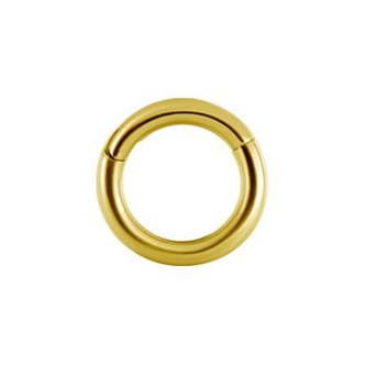 Piercings Works Vergulde Segment Ring - Basic (1.2mm)