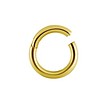 Gold Plated Segment Ring - Basic (1.2mm)