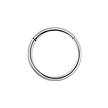 Chirurgisch Stalen Segment Ring Basic (1mm)