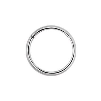 Piercings Works Chirurgisch Stalen Segment Ring Oor Neus   - Basic (1mm)
