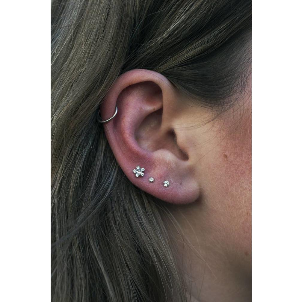 Chirurgisch Stalen Segment Ring Basic (1mm)