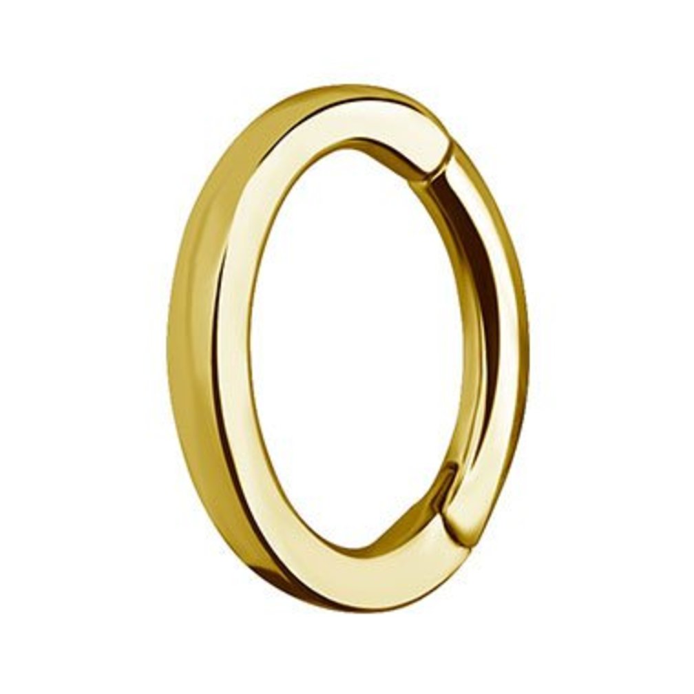 Surgical Steel Segment Ring - Oval (Square Profile)