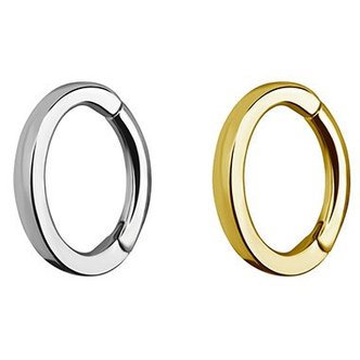 Piercings Works Chirurgisch Staal Segment Ring - Ovaal  (Rechthoekige Profiel)