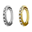 Chirurgisch Staal Ovaal Click Ring - Premium Zirconia