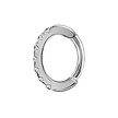 Chirurgisch Staal Ovaal Click Ring - Premium Zirconia