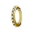 Chirurgisch Staal Ovaal Click Ring - Premium Zirconia