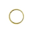 18 Karaat Goud Segment Ring - Basic  (1mm)