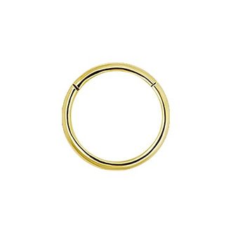 Piercings Works 18 Karaat Goud Segment Ring - Basic (1mm)