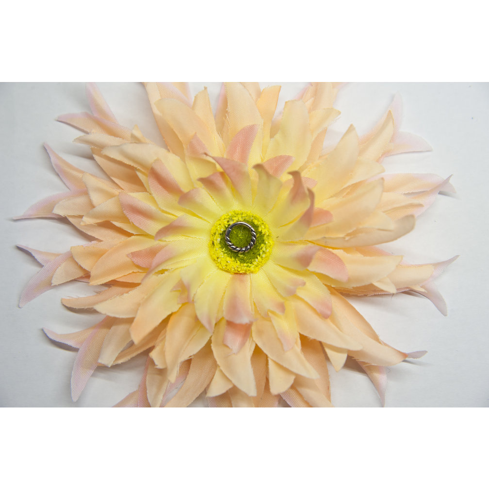 Zwart/Chirurgisch Staal Conch/Tepel Ring Twisted Touw