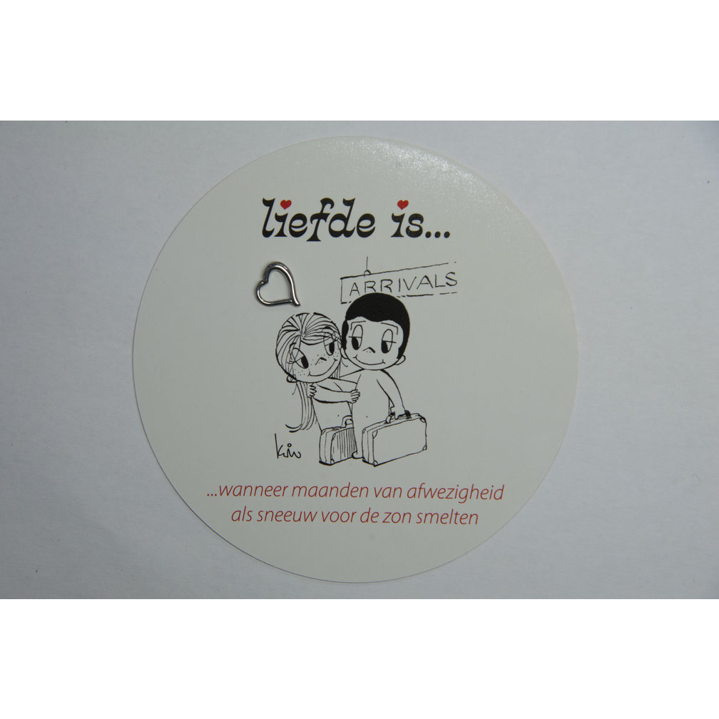 Chirurgisch Stalen Segment Ring Hartje