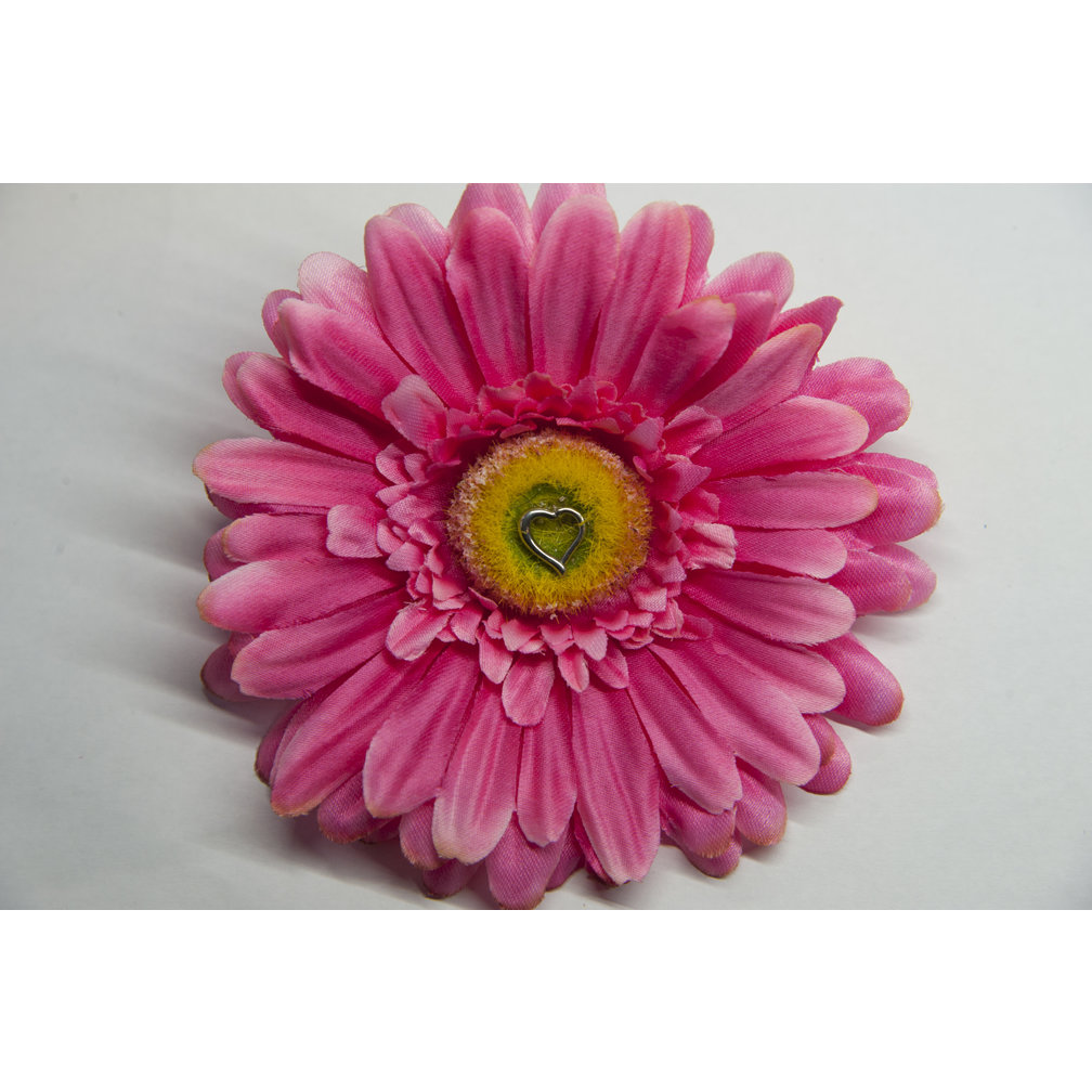 Chirurgisch Stalen Segment Ring Hartje