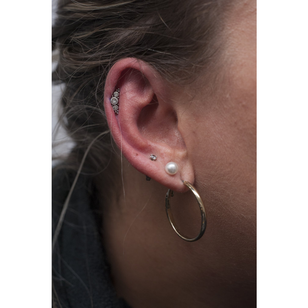 Titanium Barbell - Premium Zirkonia