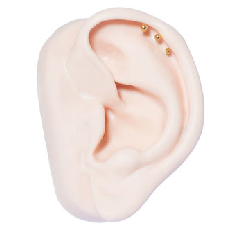 Piercings Works Gold Plated Surgical Steel Barbell - Set