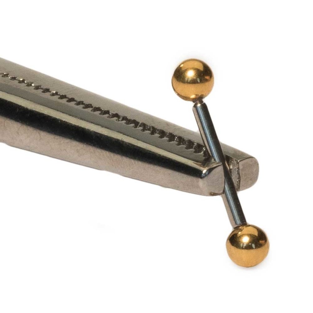 Gold Plated Surgical Steel Barbell - Set