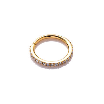 Piercings Works Gold Plated Ring - Premium Zirconia
