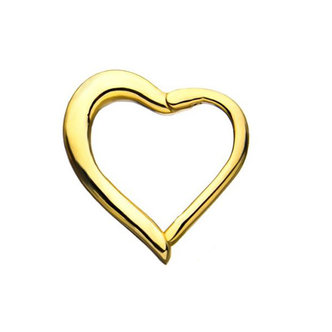 Piercings Works 14 Karaat Goud  Segment Ring - Hartje