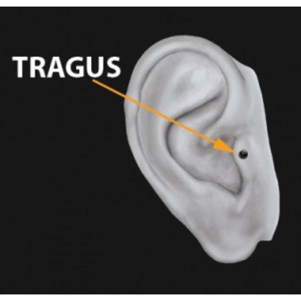 Vergulde Piercing Ring - Twisted Touw