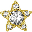 18 Karat Gold  Ear Piercing   -  Premium Zirconia Star