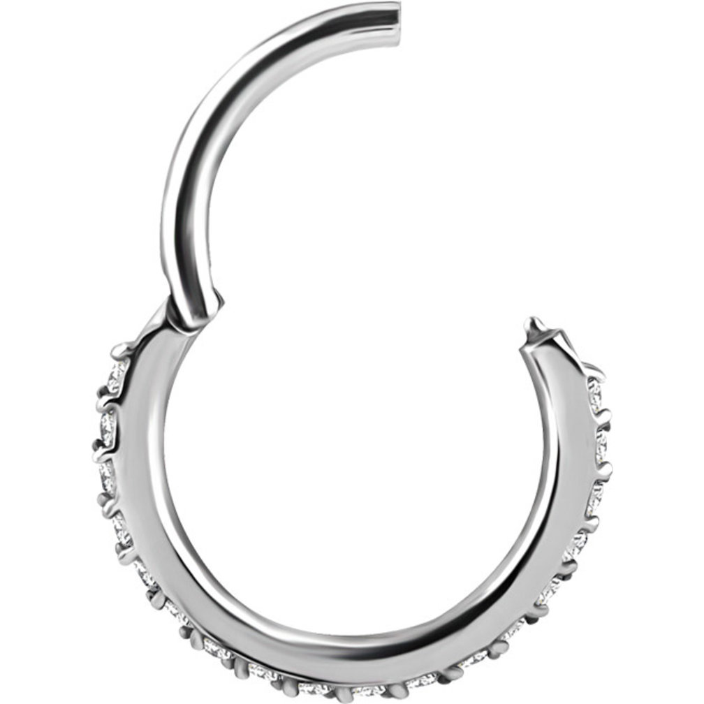 Chirurgisch Staal Neus Ring  - Premium Zirconia