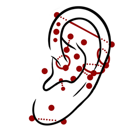 File:Pince-Nez Ear Loop TU Med.jpg - Wikimedia Commons