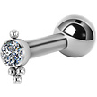 Titanium Barbell - Premium Crystals