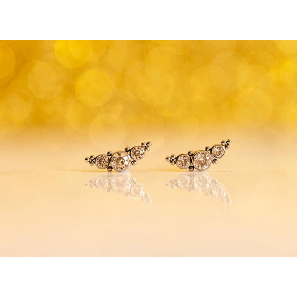 Titanium Barbell - Premium Zirkonia