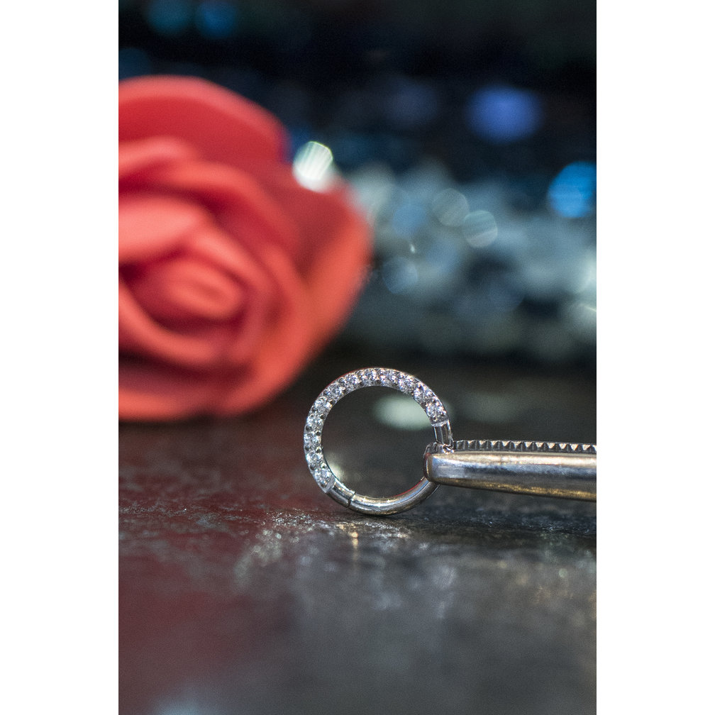 Titanium Click Ring - Premium Zirconia