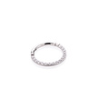 Titanium Click Ring - Premium Zirconia