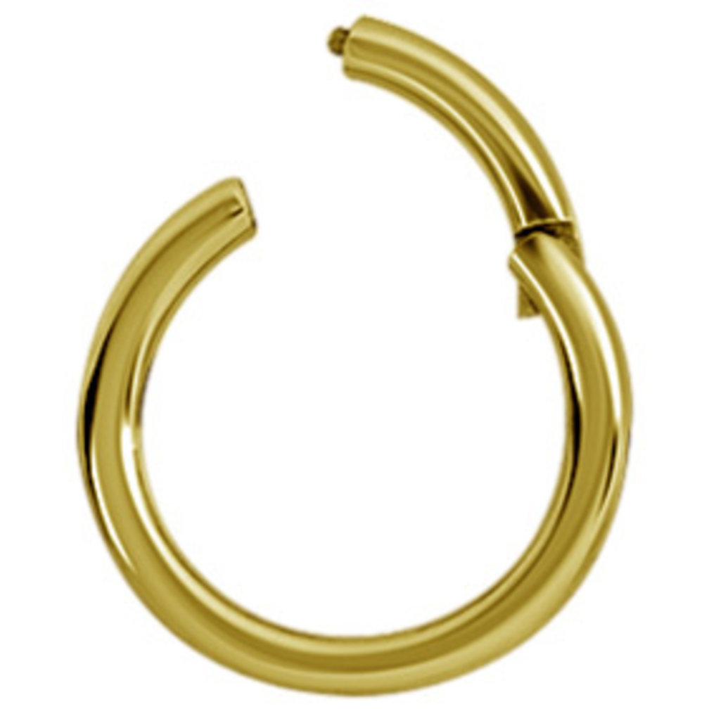 18 Karaat Goud Segment Ring - Basic  (0.8mm)