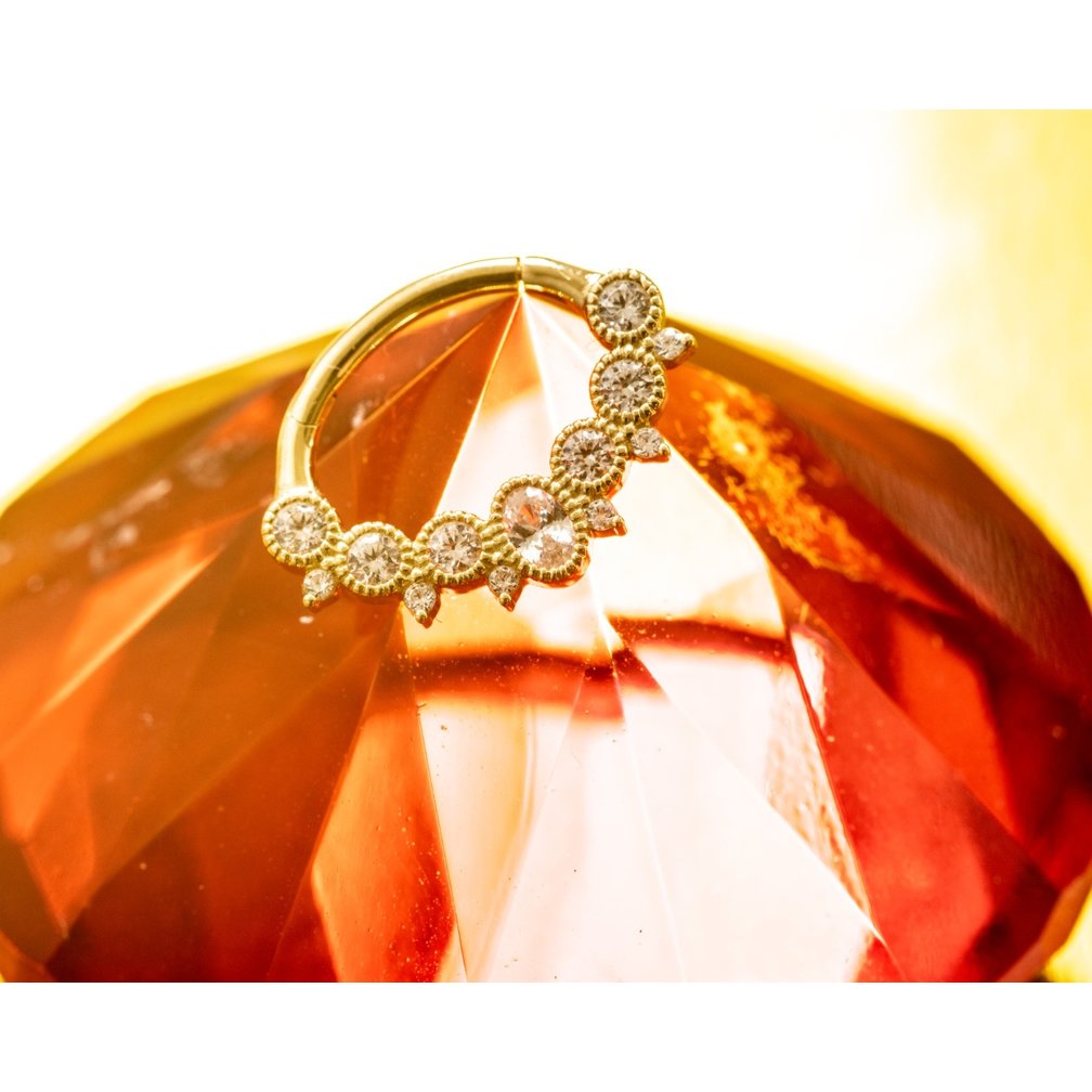 18 Karaat Goud Septum/Daith Ring - Premium Zirconia