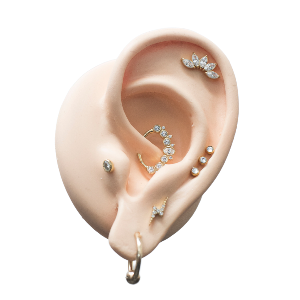 18 Karaat Goud Septum/Daith Ring - Premium Zirconia