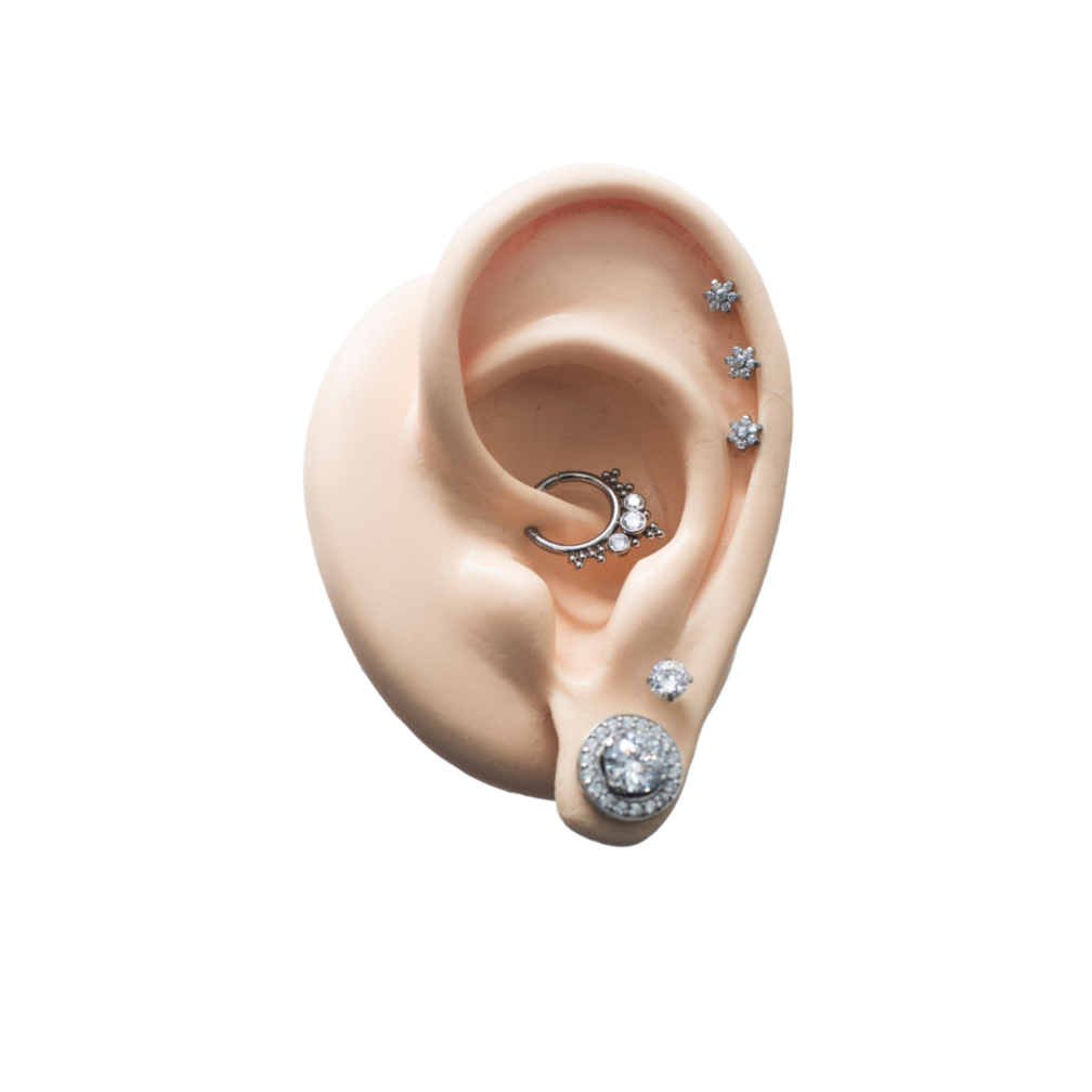 Titanium Barbell - Premium Zirkonia Bloem