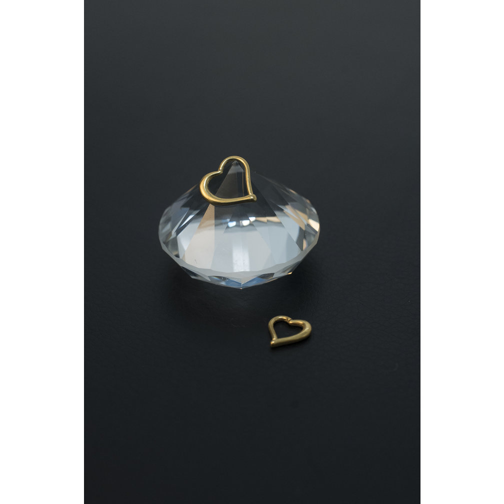 14 Karat Gold  Segment Ring - Heart