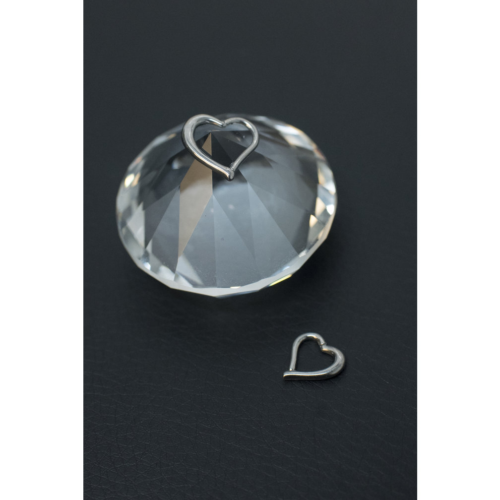 Chirurgisch Stalen Segment Ring Hartje