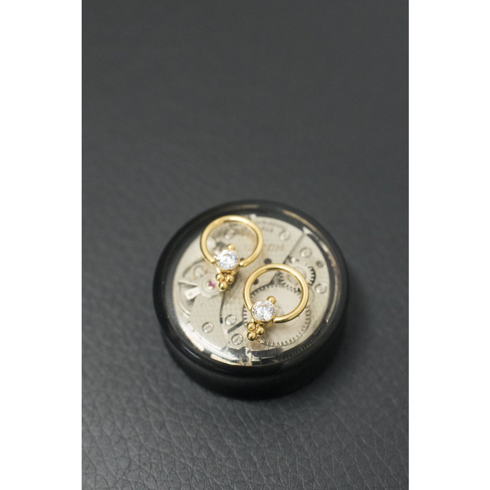 Vergulde Titanium Ring - Premium Zirconia